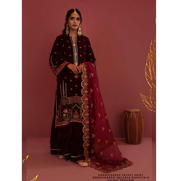 Embroidered Velvet Dress With Organza embroidered Dopata-SR147