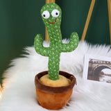 Home.Co- Dancing Cactus