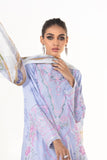 Sapphire-3 Piece - Embroidered Cotton Suit