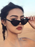 Shein - 1pc Retro Sunglasses European And American Fashion Cat-Eye Sunglasses