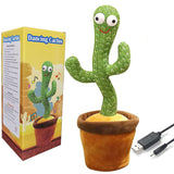 Home.Co- Dancing Cactus