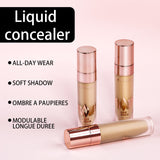 Miss Lara - New Multi Angle Repar Liquid Concealer-02