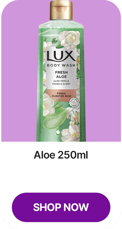 lux-body-wash-aloe-box-24x250ml