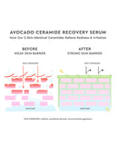 Glow Recipe - Avocado Ceramide Recovery Serum (30mL)
