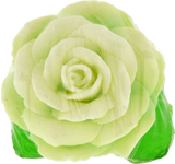 WB by HEMANI- Fruit Soap Rose Leaf- Green, 75gm