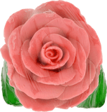 WB by HEMANI- Fruit Soap Rose Leaf- Pink, 75gm
