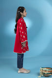 Kids Red 2 Piece - Embroidered Raw Silk Suit