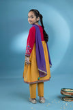 Kids Red 3 Piece - Embroidered Khaddar Suit