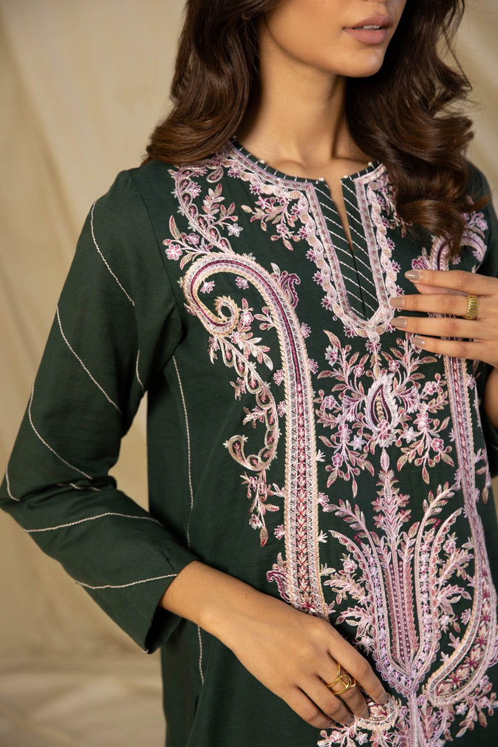 Sapphire- 2 Piece - Embroidered Khaddar Suit