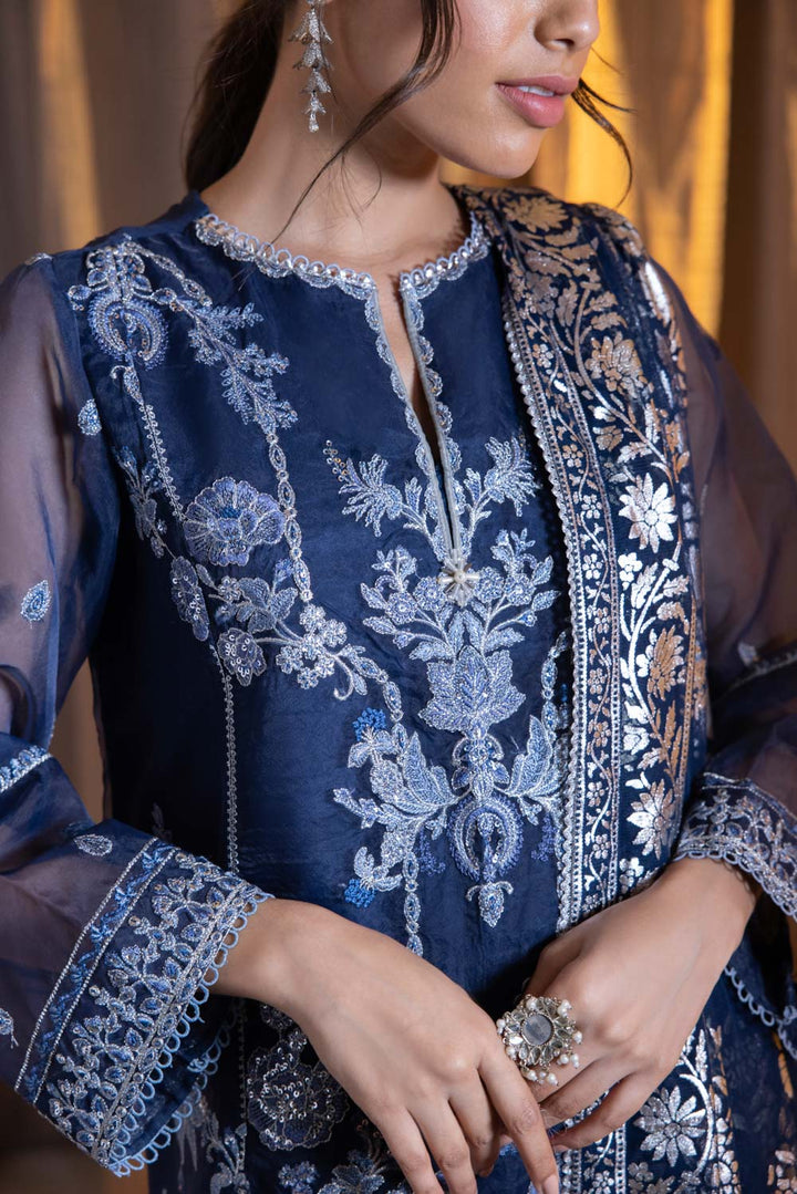 Sapphire- 2 Piece - Embroidered Net Suit