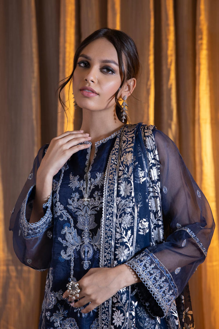 Sapphire- 2 Piece - Embroidered Net Suit