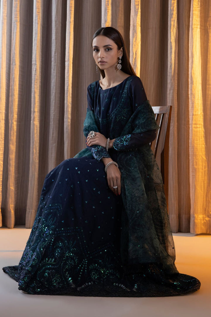 Sapphire- 2 Piece - Embroidered Karandi Suit