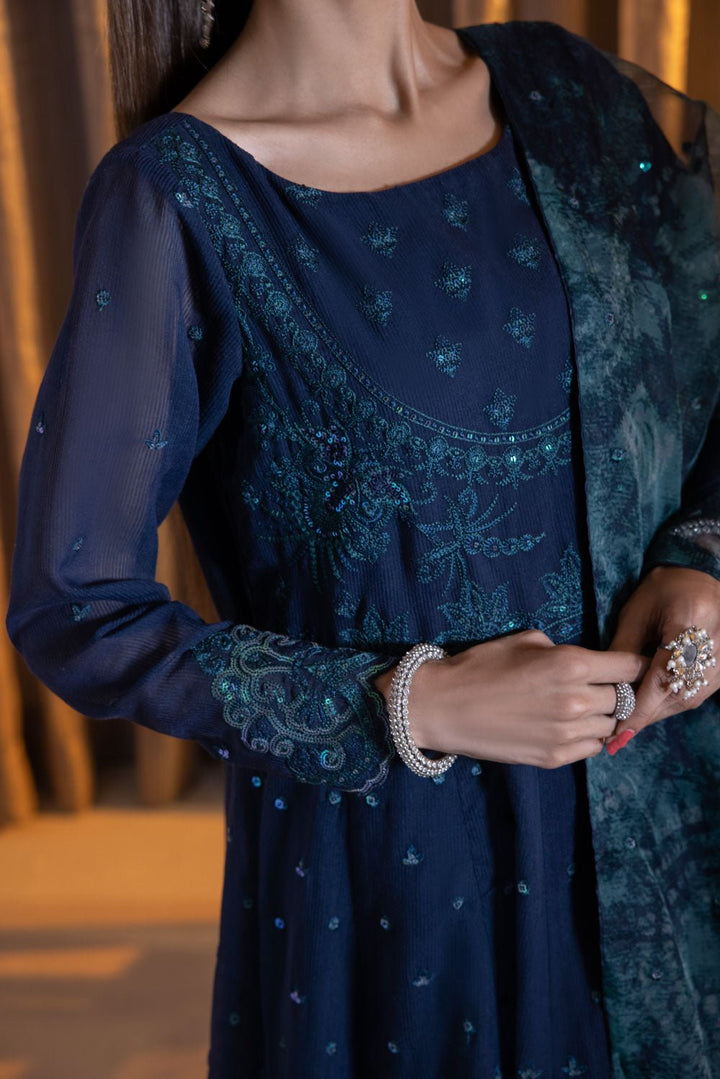 Sapphire- 2 Piece - Embroidered Karandi Suit