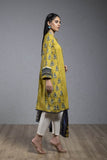 Sapphire 2 Piece - Embroidered Suit yellow