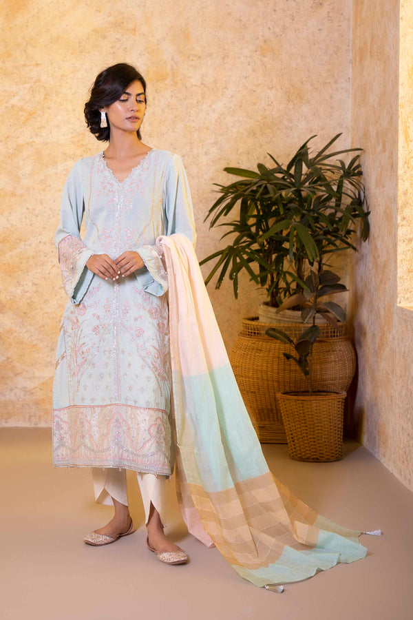 Sapphire- 2 Piece - Embroidered Karandi Suit