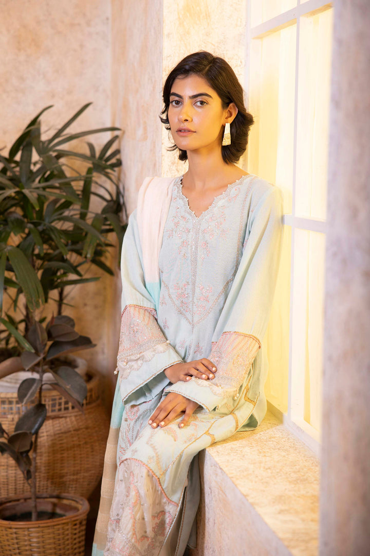 Sapphire- 2 Piece - Embroidered Karandi Suit