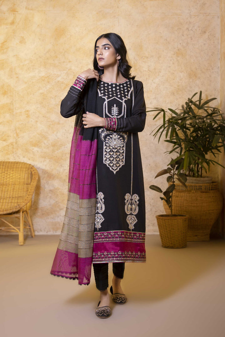 Sapphire- 2 Piece - Embroidered Karandi Suit