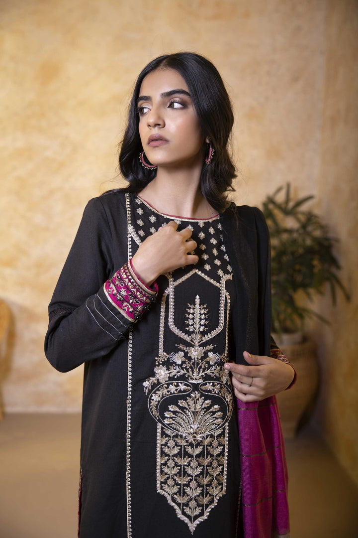 Sapphire- 2 Piece - Embroidered Karandi Suit