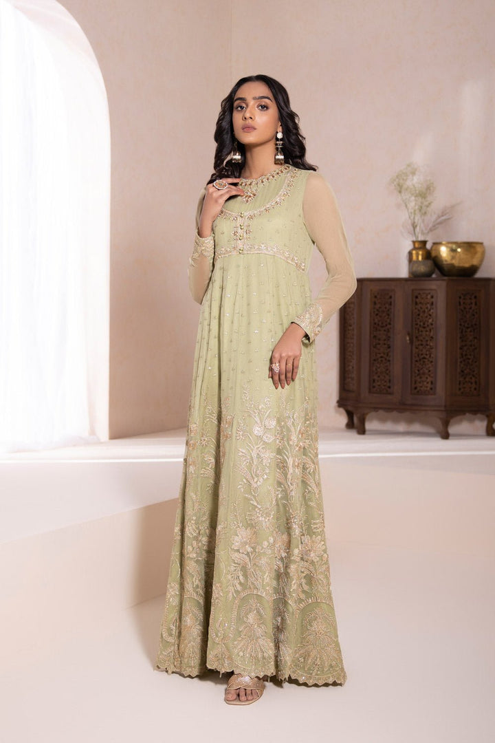 Sapphire- Embroidered Chiffon Pishwas