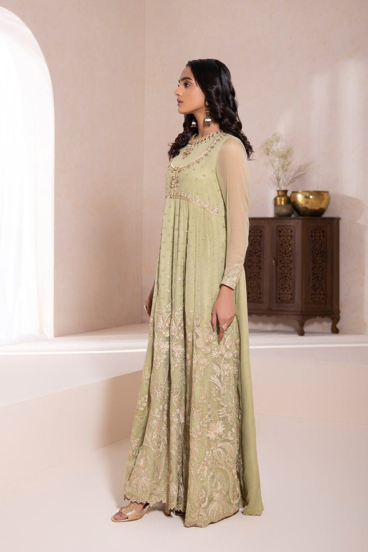 Sapphire- Embroidered Chiffon Pishwas