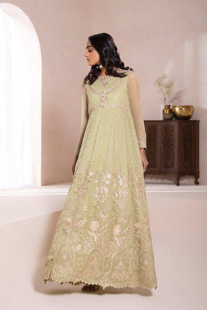 Sapphire- Embroidered Chiffon Pishwas