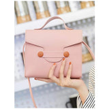Shein- Minimalist Flap Satchel Bag-Pink