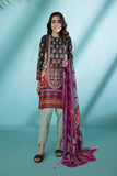 Sapphire-2 Piece - Embroidered Cotton Suit