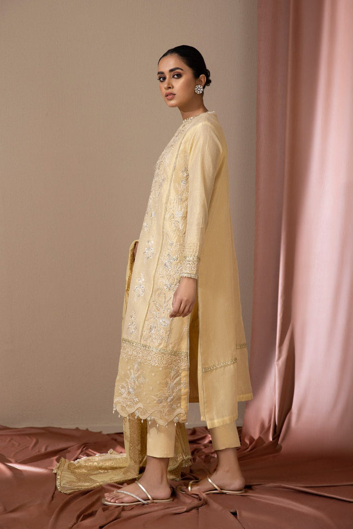 Sapphire- 2 Piece - Embroidered Masoori Suit