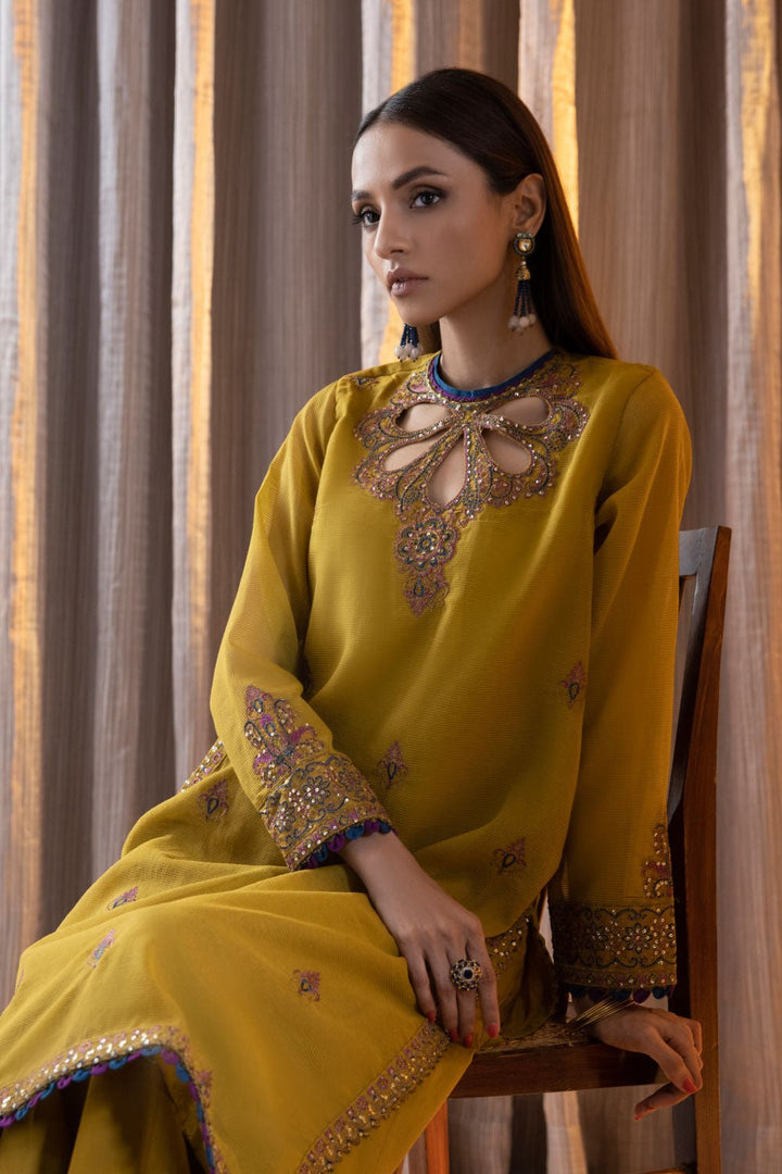 Sapphire- 2 Piece - Embroidered Karandi Suit