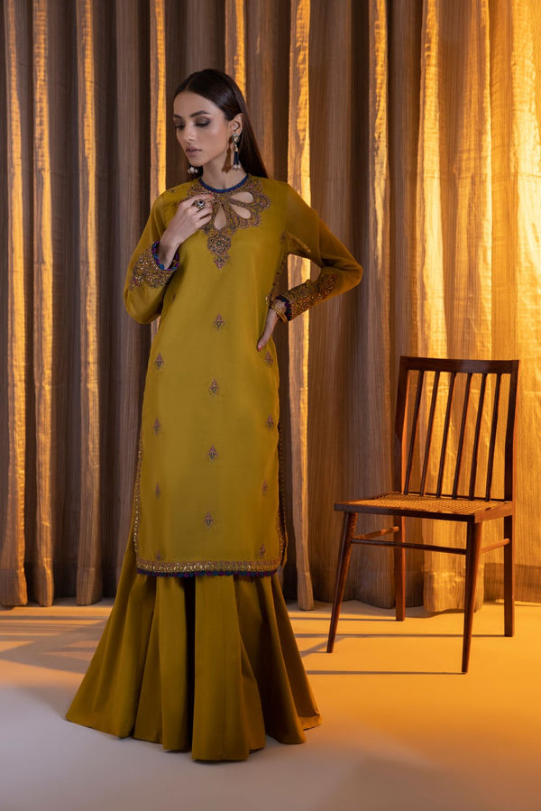 Sapphire- 2 Piece - Embroidered Karandi Suit