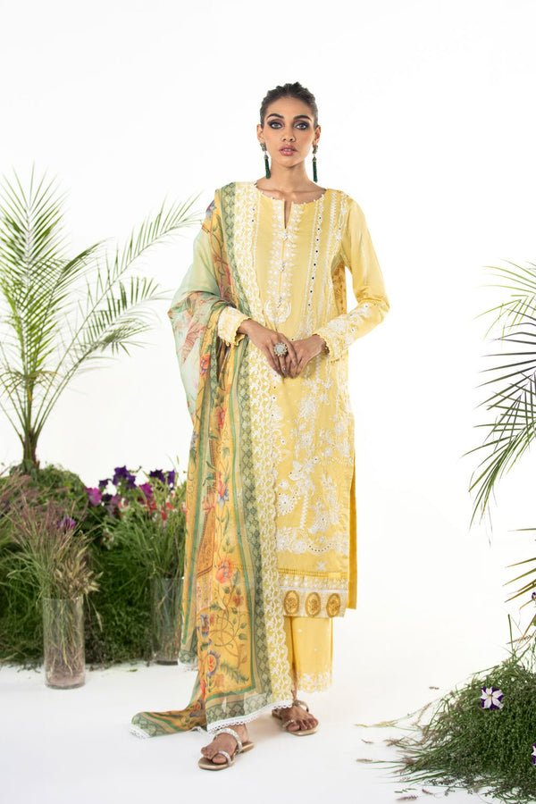 Sapphire- 3 Piece - Embroidered Cotton Suit