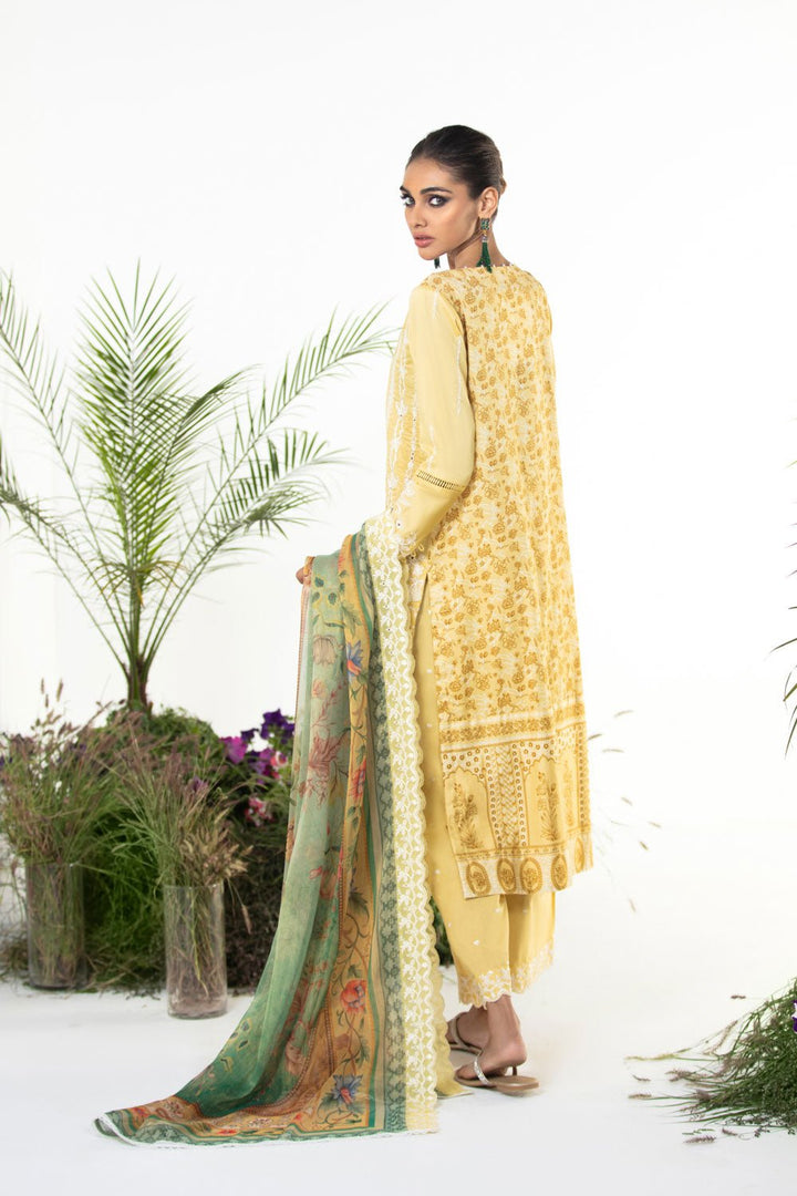 Sapphire- 3 Piece - Embroidered Cotton Suit