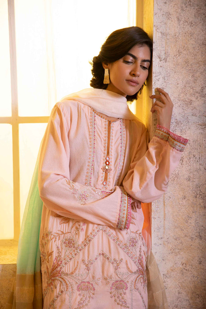 Sapphire- 2 Piece - Embroidered Karandi Suit