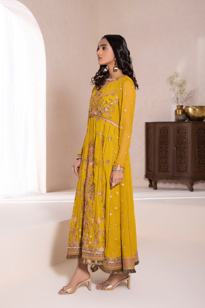 Sapphire- Embroidered Chiffon Pishwas