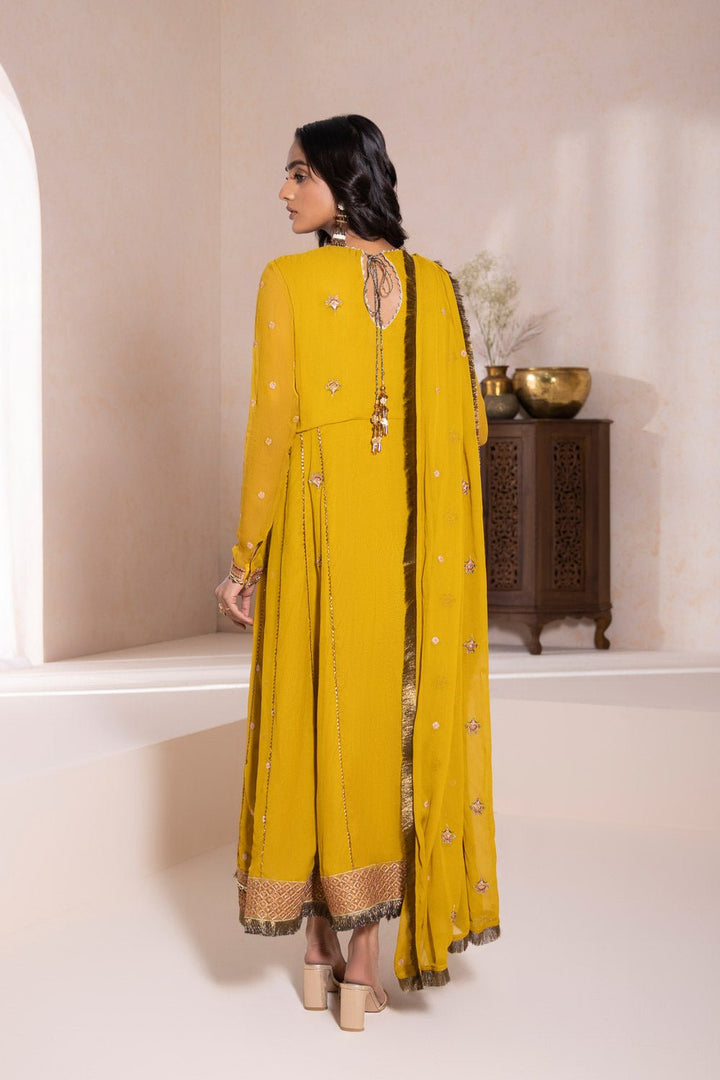 Sapphire- Embroidered Chiffon Pishwas