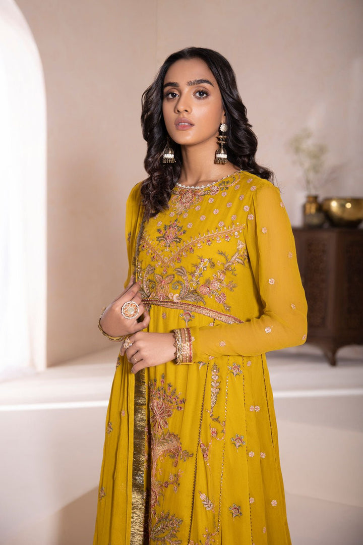 Sapphire- Embroidered Chiffon Pishwas