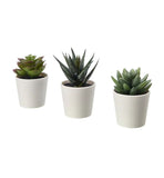 Ikea- Fejka Artificial Potted Plant With Pot- In/Outdoor Succulent, 6 Cm 3 Pack
