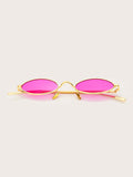 Shein- Tinted Lens Metal Frame Sunglasses