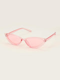 Shein- Clear Frame Cat Eye Sunglasses