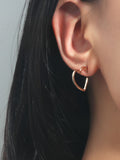 Shein- Heart Design Earrings