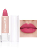 Shein- Matte Long-wearing Lipstick 01