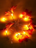 Shein 1pc 10/20/30 LED Maple Leaf String Light
