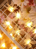 Shein 1pc 10/20 LEDs String Light 1.5/3m Butterfly Decoration