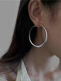 Shein - 1pair European And American Style Metallic Personalized Circle Design Earrings