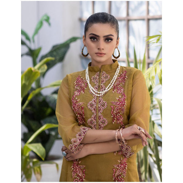 Noor E Chaman Vol-1- Dazzling Jazzy- Nr-0101