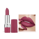 Shein- 1pc Matte Velvet Lipstick 08