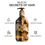 MUICIN - Ginger Oil Anti Hair Fall Shampoo - 500ml