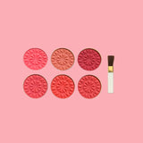 MUICIN - Fashion Design Matte Blusher & Eyeshadow Kit - 6 Colors