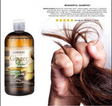 MUICIN - Ginger Oil Shampoo Gingembre for Anti Hair Fall & Dandruff Control - 400ml