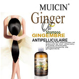 MUICIN - Ginger Oil Shampoo Gingembre for Anti Hair Fall & Dandruff Control - 400ml